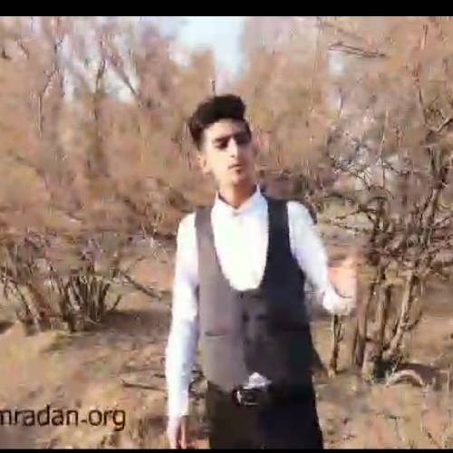 بهنام رادان نفس